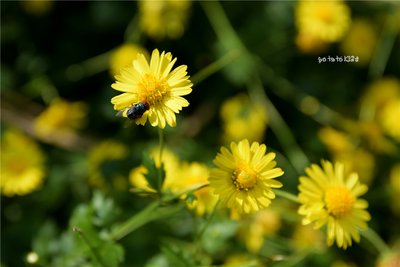 分享一些恒溫恒濕試驗(yàn)箱壓縮機(jī)保養(yǎng)技巧